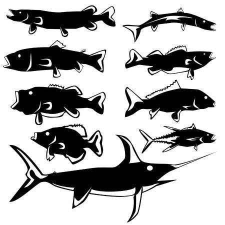 Freshwater and saltwater fish in vector silhouette with stylized illustrationのイラスト素材
