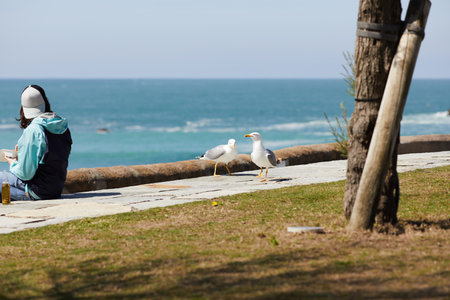 young man picnicking by the sea a sunny dayの写真素材