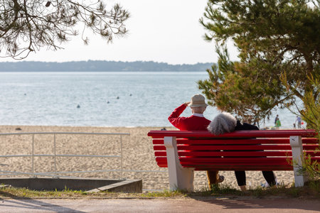Rear view of an older couple sitting close together on a bench looking out over the water.の写真素材