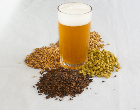 Special bitter beer, malta, hops and barley over a withe background.の写真素材