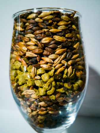 malt and barley for craft beer manufacturing inside a glass cupの写真素材