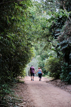 an adult couple walking through a pathway between the trees of the Arboretum Lussichの写真素材