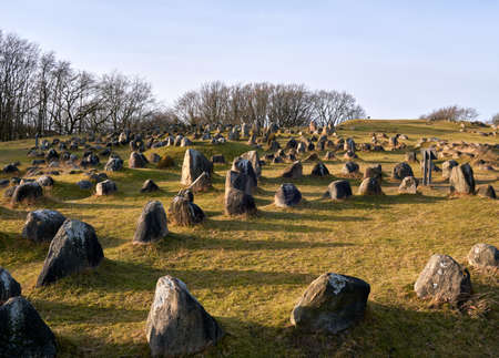 Viking graveyard of Lindholm Hoje (700-1000 bc), near Aalborg, in north Jutland, Denmarkの写真素材