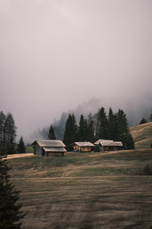 tourist houses. misty fog wooden travel cabin on the hills. Alpe di siusi, Seiser alm Italian.の写真素材