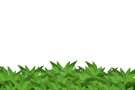 Green leaves isolated on white background. Eps10.のイラスト素材