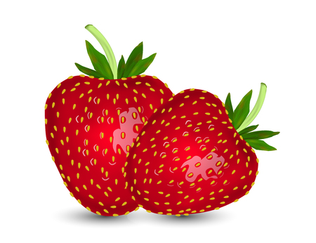Realistic Strawberry Isolated on White Background. Vector Illustrationのイラスト素材