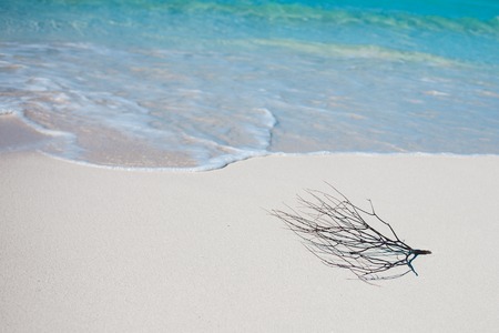 Beach. sea relaxation landscapeの写真素材