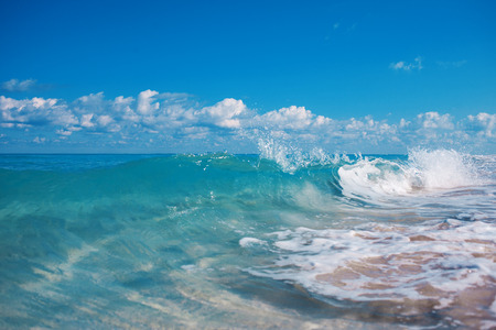 Beach. sea relaxation landscape