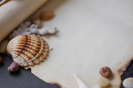 Old scroll of parchment with sea pebbles and seashellsの写真素材