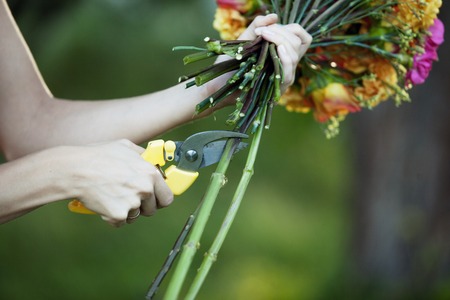 Florist cutting flower stems.  Woman's hands trying to cut