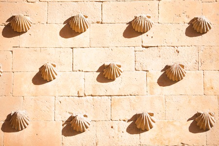 Casa de las Conchas with La Clerecia Church in Salamanca, Castilla Leon, Spainの写真素材