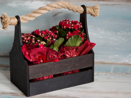 Beautiful pot of flowers wrapped in red paper, gift in a wooden basketの写真素材
