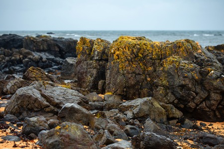 Djupalonssandur beach Snaefellsnes Iceland. Iceland, beautiful Northern landscapeの写真素材