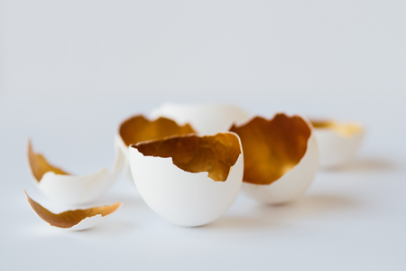 A symbol of new life, eggs shellsの写真素材