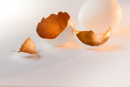 A symbol of new life, eggs shells