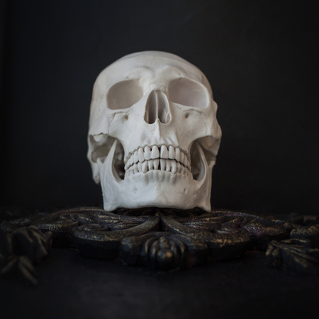 Human skull on the background of patterns. Black background, Halloween concept, free spaceの写真素材