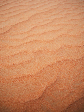 Sand in the desert. Abstract dune background. The wavy texture of the sand. Erosion and...