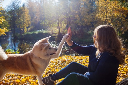 Young woman on a walk with her dog breed Akita inu. Young woman and her dog give five to each other, the concept of friendship with a beloved petの写真素材
