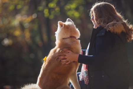 Young woman on a walk with her dog breed Akita inu. Mistress and her dog sit and watch in the distance, back view. The concept of friendshipの写真素材