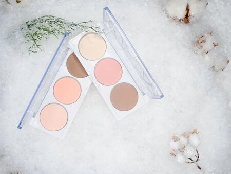 Christmas makeup and skin care. Winter makeup, new cosmetics, products for beauty and festive image. set for contouring and correctors.の写真素材