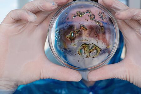 epidemiologist develops a vaccine and investigates the virus. Viral and bacteriological pathogens