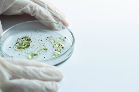 epidemic and the global virus attack concept. lab technician or researcher holds a Petri dish with a sample. Virology and bacteriologyの写真素材