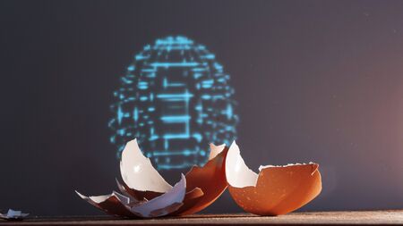 Fragments of eggshells and a hologram of an entire artificial egg. Life extension and rejuvenation,...