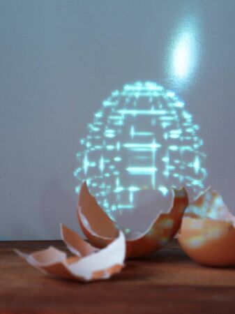 Fragments of eggshells and a hologram of an entire artificial egg. Life extension and rejuvenation,...