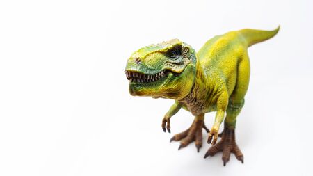 Tyrannosaurus Rex, a huge reptile from the Jurassic period, a children's toy. Figure isolated on whiteの写真素材