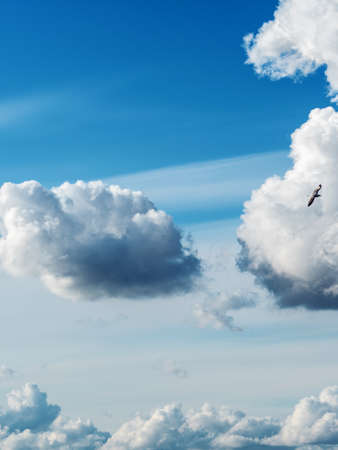 Abstract natural background, sky and puffy clouds, beautiful bright and contrasting sky with Cumulus cloudsの写真素材