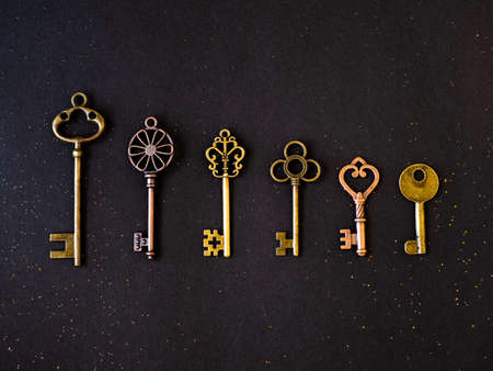 Many different old keys from different locks, in order in a line, flat lay. Finding the right key,...