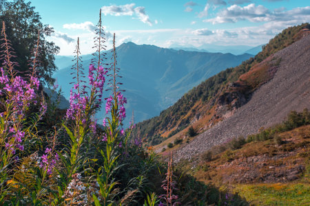 Beautiful mountain landscape, terrain with peaks and valleys, a mountain range in the distance and a...