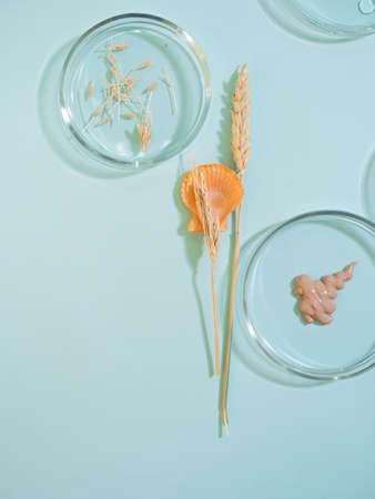 Eco-friendly cosmetics based on natural ingredients. Creams and serums for skin care. Scientific and eco-friendly approach to cosmetics development and testingの写真素材