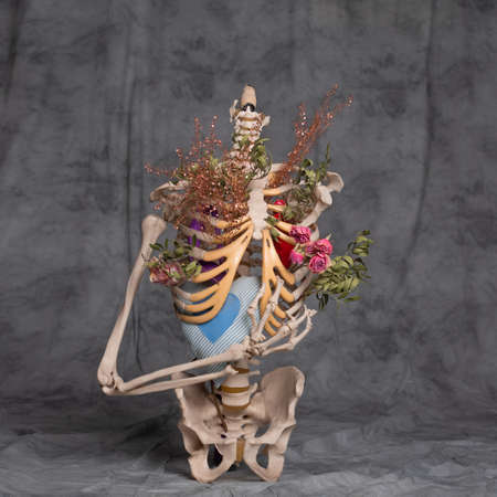 Torso, skeletal bones and dried flowers inside.の写真素材