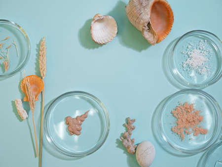 Eco-friendly cosmetics based on natural ingredients. Creams and serums for skin care.の写真素材