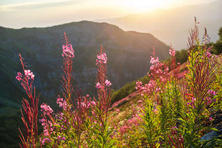 Sunset in the mountains. Beautiful mountain landscape, different terrain,