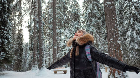 Walking through the winter pine forest, frosty weather, a healthy lifestyle.