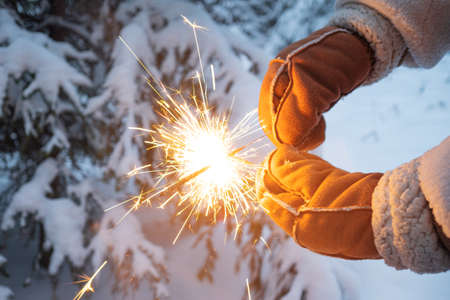 Hello winter, cozy winter mood. A girl in a white fur coat and warm mittens holds sparklers in her hands, snow-covered fir trees in the background.の写真素材