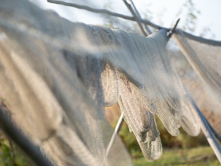 Antique fishing gear, nets for catching fish are dried in the sun, historical Museum on Kizhi Island, Karelia, northern Russia.の写真素材