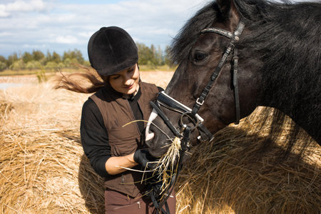 Equestrian sports. A young woman in a sports uniform, a rider and her horse next to a stable and haystacksの写真素材