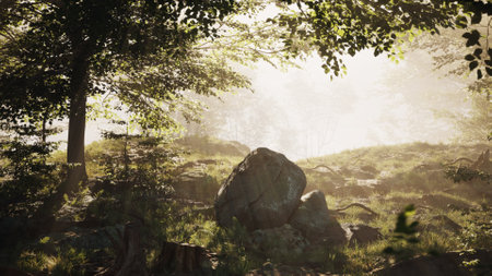 A serene 3D animation of a deciduous forest, featuring towering oak trees with moss-covered trunks. A young woman sits alone on a rock and enjoys unity with nature.の写真素材