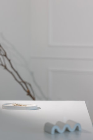 Abstract background, stylish white interior, table with abstract objects, decor in the form of a dry...
