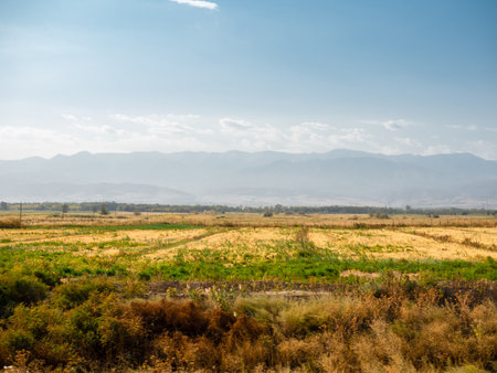 Simple beauty: golden foothills of Kazakh steppe stretching to distant mountain silhouettes