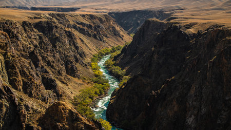 A mountain river flows through the bottom of the canyon, Sunlit panorama of Central Asian steppes transitioning into deep, maze-like sandstone gorgesの写真素材