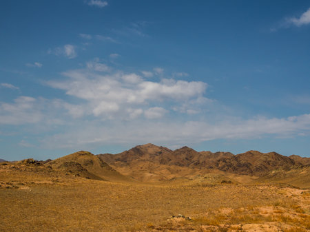 Clean composition of Kazakhstans steppe meeting mountains under endless blue sky