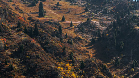 Panoramic view of Kazakhstans diverse nature - mountains, forests and flowering meadowsの写真素材