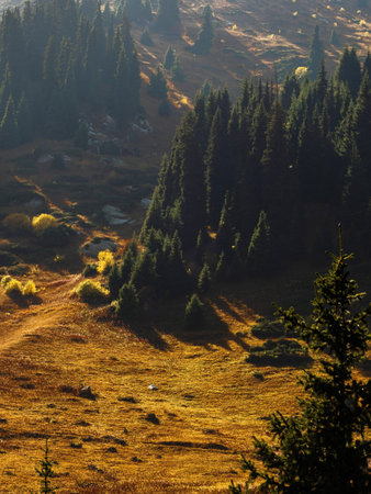 Epic Central Asian scenery with alpine ridges, pine-covered slopes and open meadows.