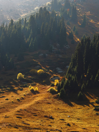 Panoramic view of Kazakhstans diverse nature - mountains, forests and flowering meadowsの写真素材