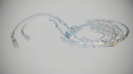 Glass skeleton bent into infinity symbol, surreal 3D visualization with jelly-like texture. Crystal human skeleton twisted in infinite loop, absurd surreal 3D render with plasticity.の写真素材