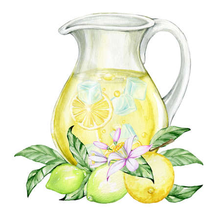 A jug with a drink, lemons, fruits and flowers. Watercolor concept, on an isolated background.の写真素材